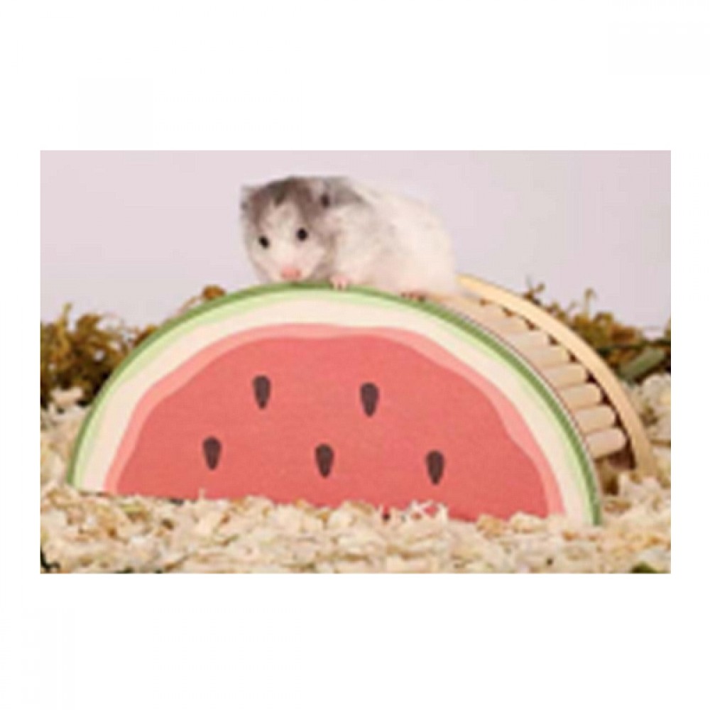 Pawise Ahşap Kemirgen Yuvası Karpuz
