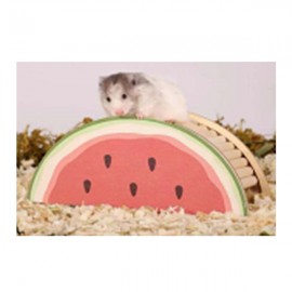 Pawise Ahşap Kemirgen Yuvası Karpuz