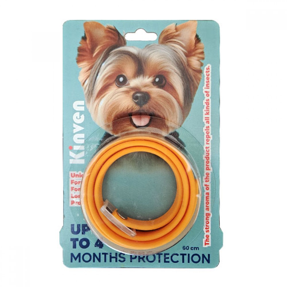 Köpek Tasması 60 Cm Turuncu