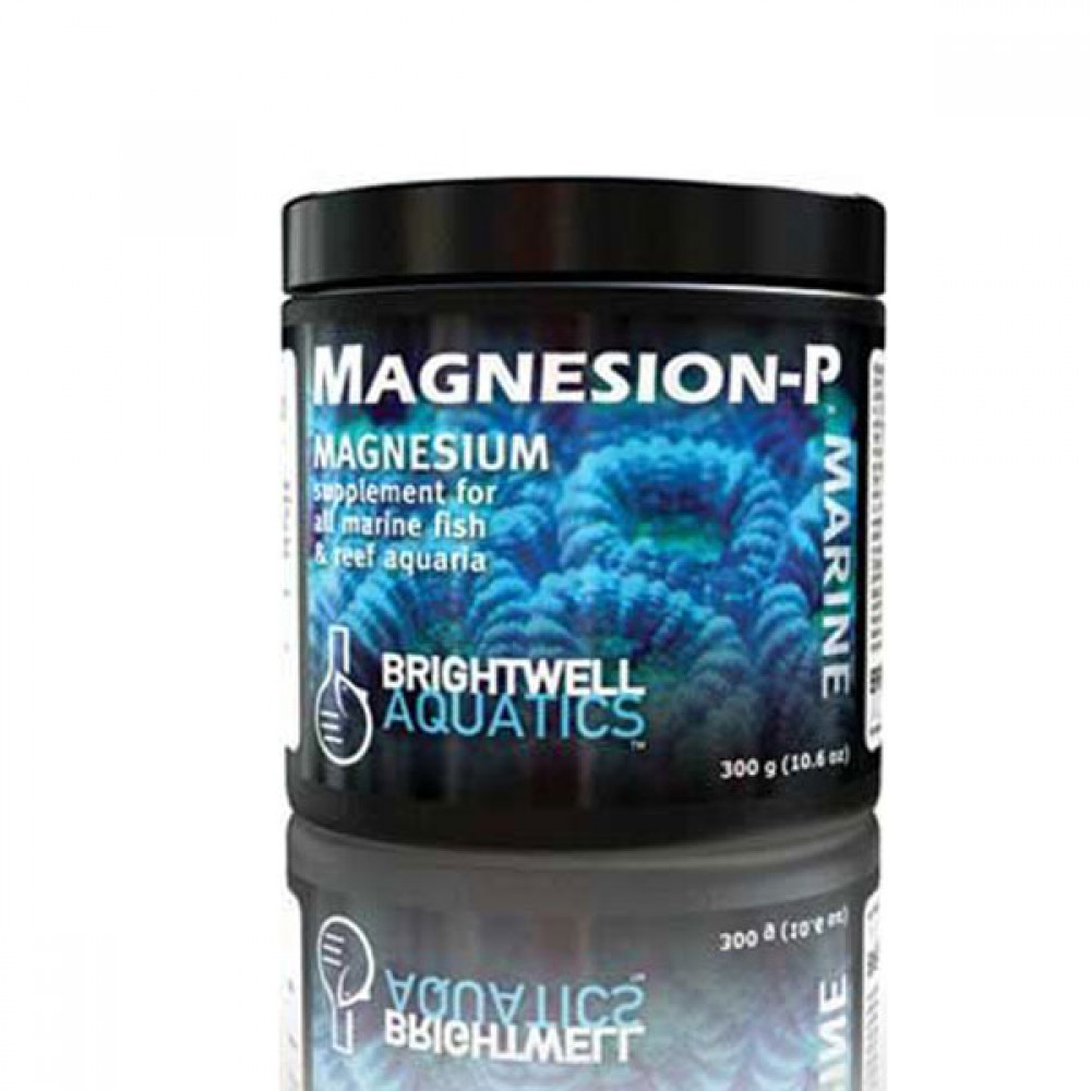 Brightwell Magnesium Toz 600 Gr
