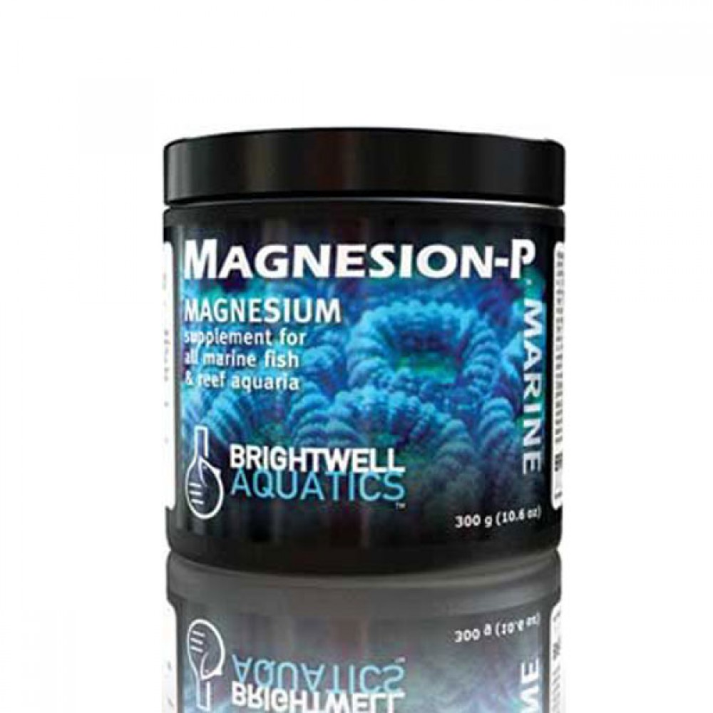 Brightwell Magnesium Toz 300 Gr