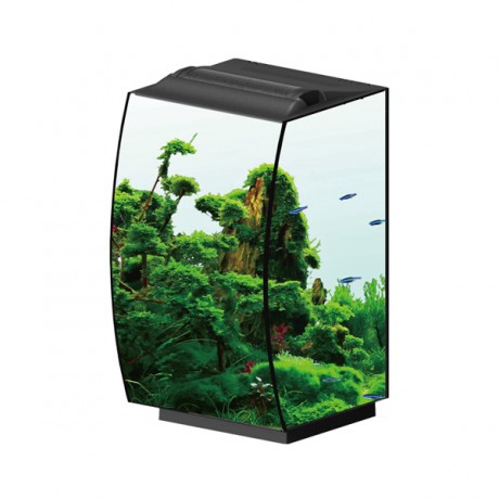 Anubias Molly 36 Nano Akvaryum Siyah 36 x 32 x 50 Cm