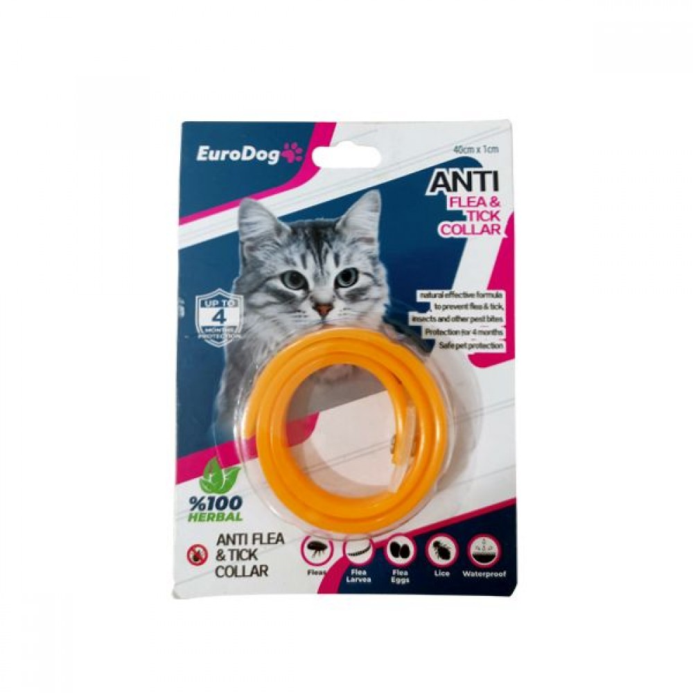 Kedi Tasması 40 cm Turuncu