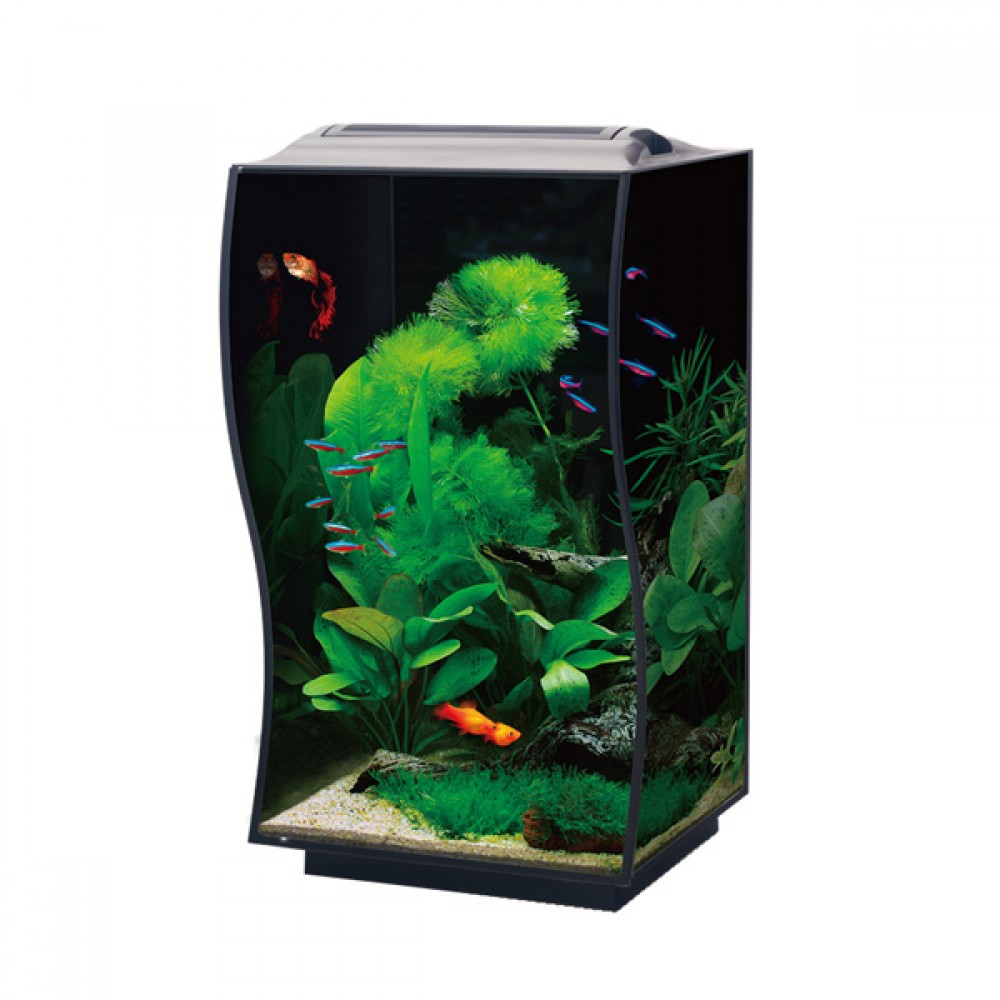 Anubias Guppy 36 Nano Akvaryum Siyah 36 x 32 x 50 Cm