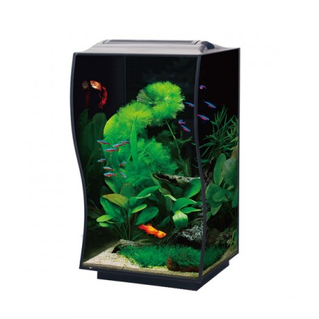 Anubias Guppy 36 Nano Akvaryum Siyah 36 x 32 x 50 Cm