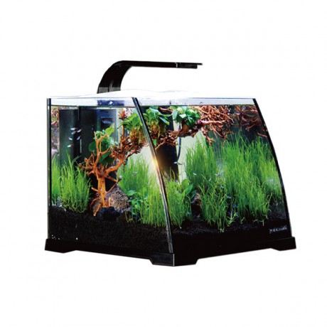 Anubias Ruby 30 Nano Akvaryum Siyah 30 x 29,8 x 25,7 Cm