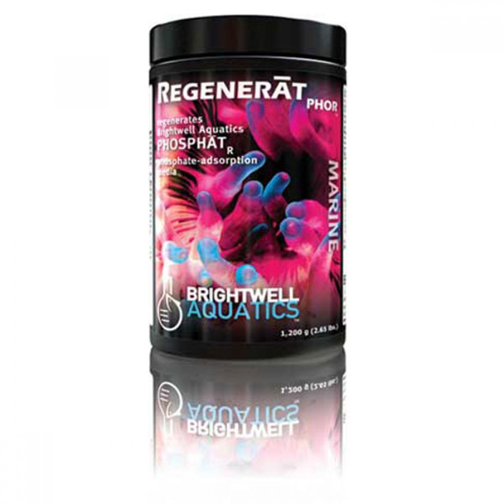 Brightwell Fosfat Tutucu Yeniden Aktive Edici 1200