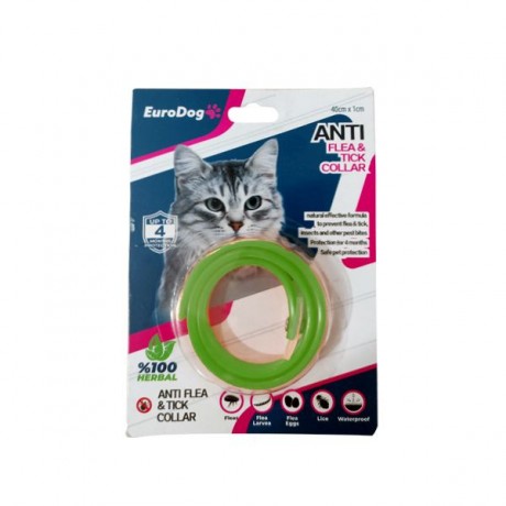 Kedi Tasması 40 cm Yeşil