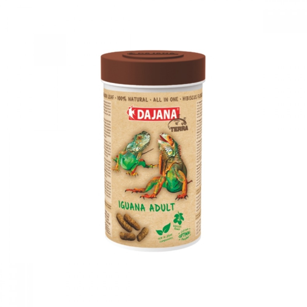 Dajana Iguana Adult All In One 1000 Ml 240 Gr