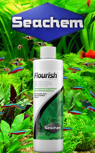 Seachem Akvaryum Bitkileri