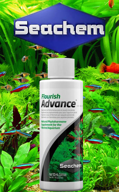 Seachem Akvaryum Bitkisi Gübreleri