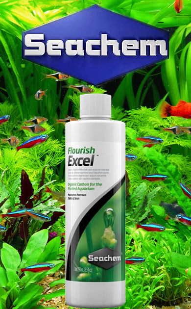 Seachem Akvaryum Bitkisi Gübreleri