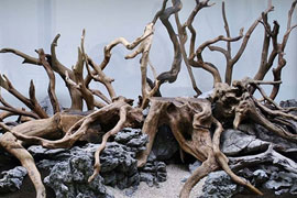 Akvaryum kütükleri, kökleri, mahogani, çöl kütüğü, mangrow kökü